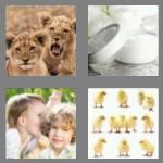 4 pics 1 word 5 letters young