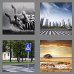 4 pics 1 word 5 letters zebra