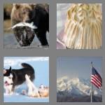 4 pics 1 word 6 letters alaska