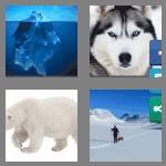 4 pics 1 word 6 letters arctic