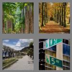 4 pics 1 word 6 letters avenue