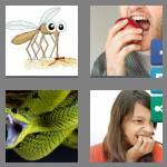 4 pics 1 word 6 letters biters