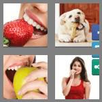 4 pics 1 word 6 letters biting