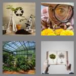 4 pics 1 word 6 letters botany