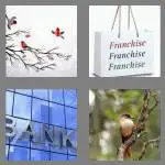 4 pics 1 word 6 letters branch