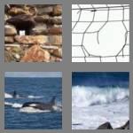 4 pics 1 word 6 letters breach