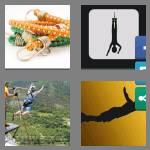 4 pics 1 word 6 letters bungee