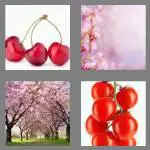 4 pics 1 word 6 letters cherry