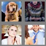 4 pics 1 word 6 letters collar