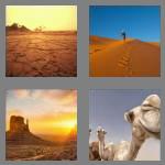 4 pics 1 word 6 letters desert