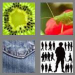 4 pics 1 word 6 letters detail