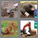 4 pics 1 word 6 letters digger