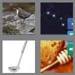 4 pics 1 word 6 letters dipper