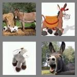 4 pics 1 word 6 letters donkey