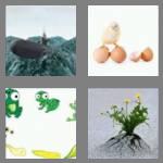 4 pics 1 word 6 letters emerge