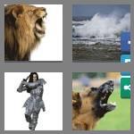 4 pics 1 word 6 letters fierce