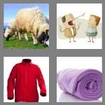 4 pics 1 word 6 letters fleece