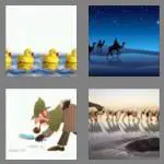 4 pics 1 word 6 letters follow