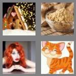 4 pics 1 word 6 letters ginger