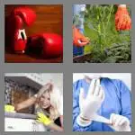 4 pics 1 word 6 letters gloves