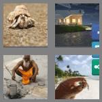 4 pics 1 word 6 letters hermit