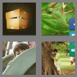 4 pics 1 word 6 letters hiding