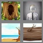 4 pics 1 word 6 letters hollow