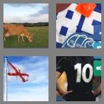 4 pics 1 word 6 letters jersey