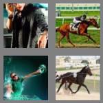 4 pics 1 word 6 letters jockey