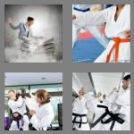 4 pics 1 word 6 letters karate