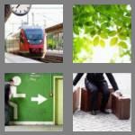 4 pics 1 word 6 letters leaves