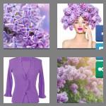 4 pics 1 word 6 letters lilacs