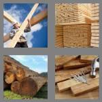 4 pics 1 word 6 letters lumber