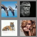 4 pics 1 word 6 letters mammal