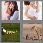 4 pics 1 word 6 letters mother