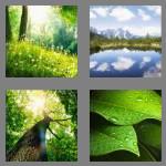 4 pics 1 word 6 letters nature