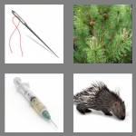 4 pics 1 word 6 letters needle