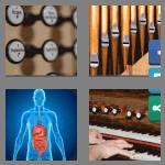 4 pics 1 word 6 letters organs