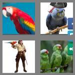 4 pics 1 word 6 letters parrot