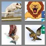 4 pics 1 word 6 letters pounce