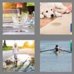 4 pics 1 word 6 letters puddle