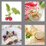 4 pics 1 word 6 letters radish