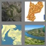 4 pics 1 word 6 letters region