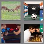 4 pics 1 word 6 letters rivals