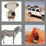 4 pics 1 word 6 letters safari