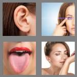 4 pics 1 word 6 letters senses