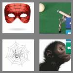 4 pics 1 word 6 letters spider