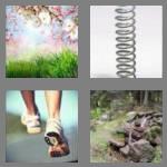 4 pics 1 word 6 letters spring