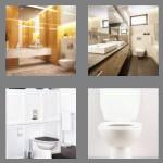 4 pics 1 word 6 letters toilet