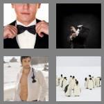 4 pics 1 word 6 letters tuxedo